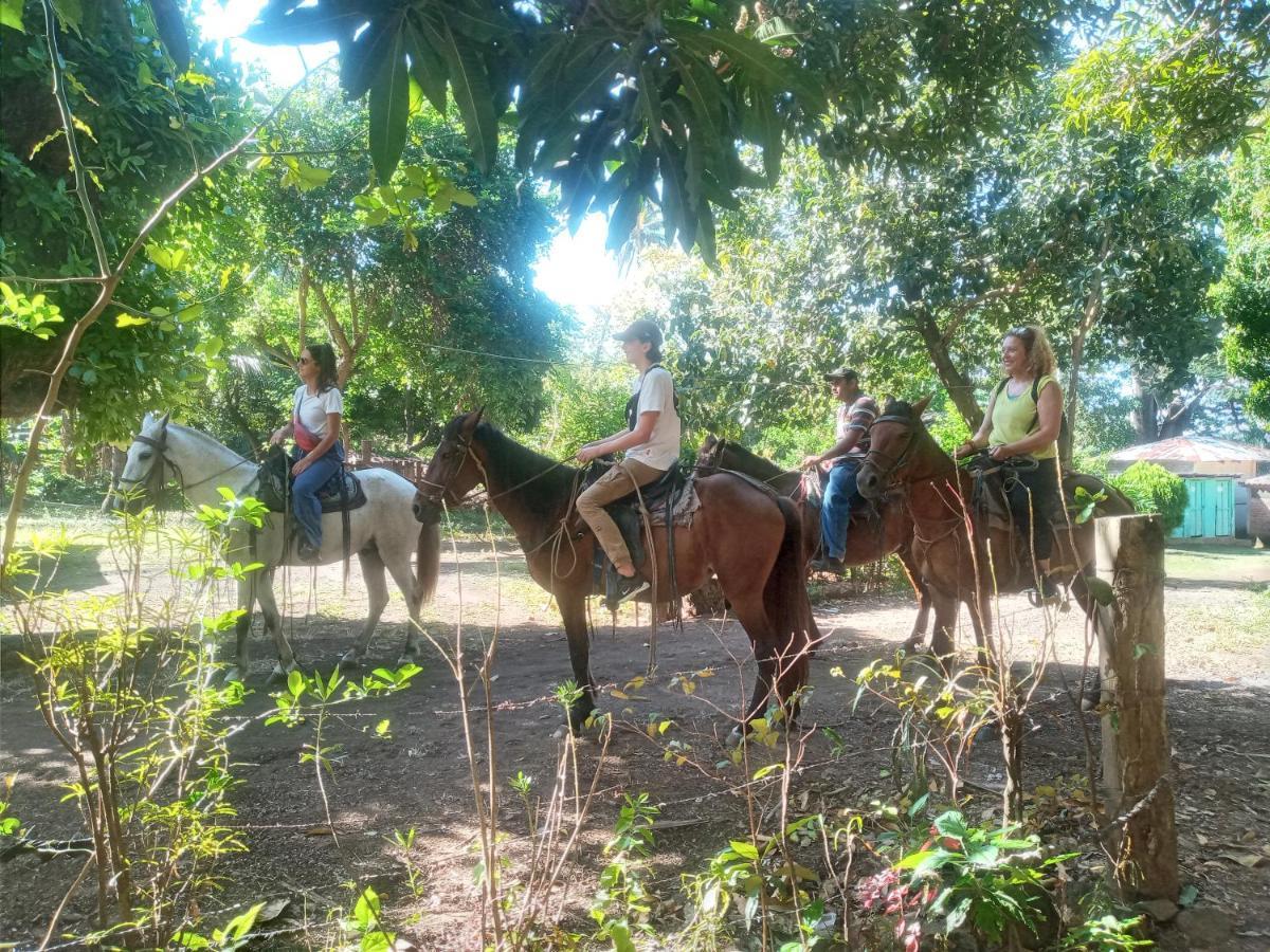 Rosa'S Lake Cabins Mérida Esterno foto